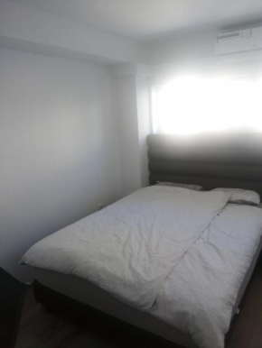 Elite Apartments